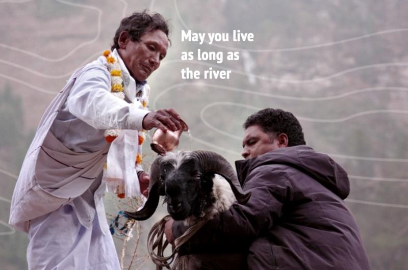 Hello Symbiocene! Filmfestival Gent