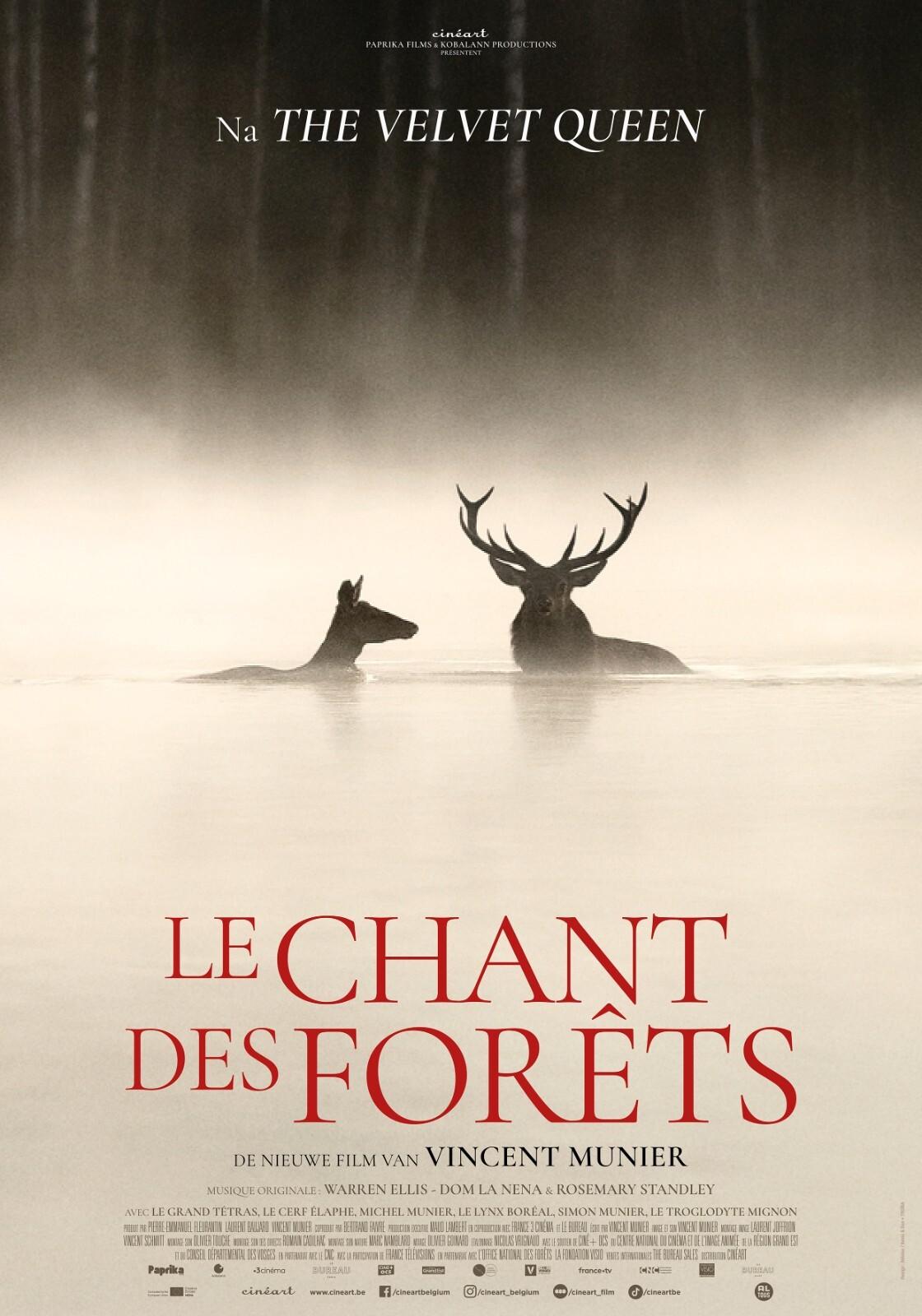 Documentaire Le Chant des Forêts - Vincent Munier (Vogezen)